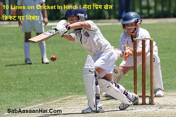 10-lines-on-my-favourite-game-essay-in-hindi-l-10-lines-on-cricket