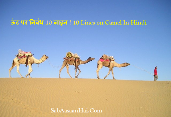 10 Lines on Camel In Hindi