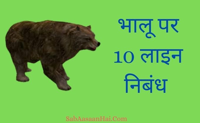 10 Lines on Bear In Hindi