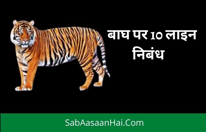 10 Lines on Tiger In Hindi