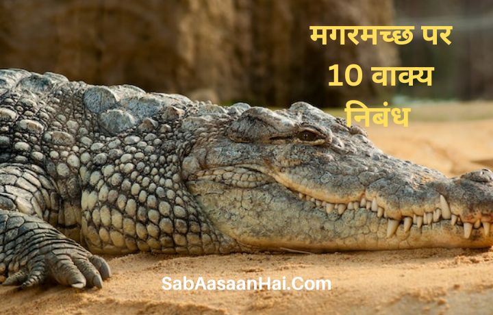 10 Lines on Crocodile In Hindi