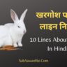 10 Lines About Rabbit In Hindi